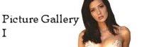 Picture Gallery 1